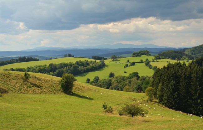 Javoří Mountains